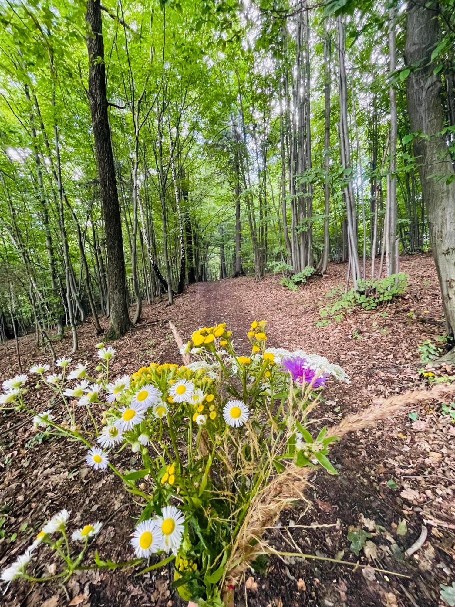 Wioska Jasia I Malgosi Izdebnik ภายนอก รูปภาพ